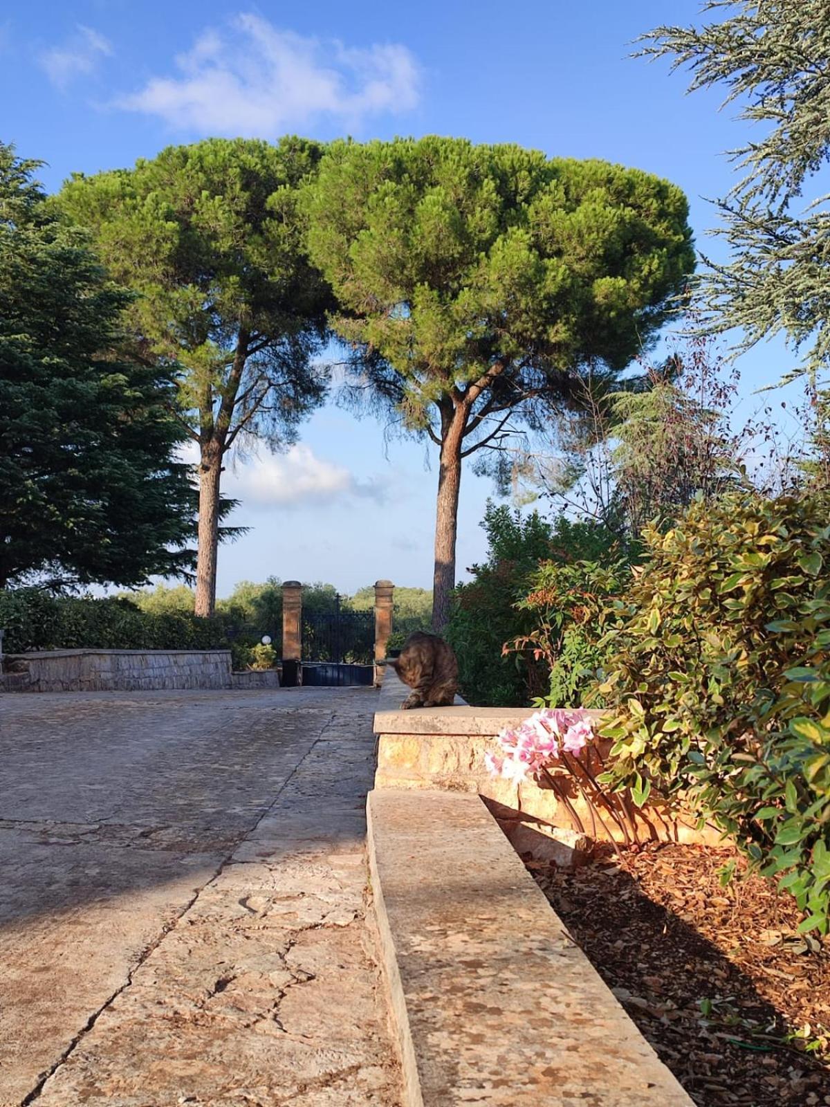 מונופולי Villa Ostuni מראה חיצוני תמונה